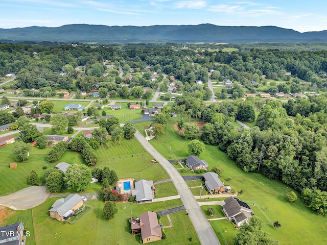 508 Meadowlark Dr, Greeneville, TN 37743 - photo 58
