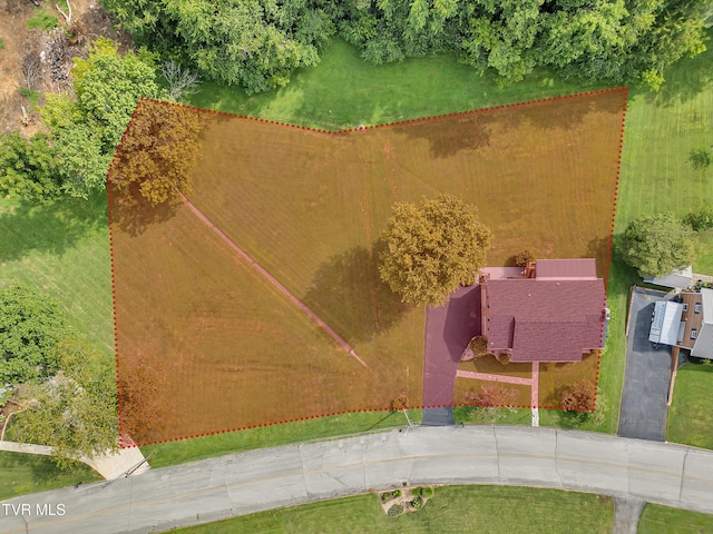508 Meadowlark Dr, Greeneville, TN 37743 - photo 59