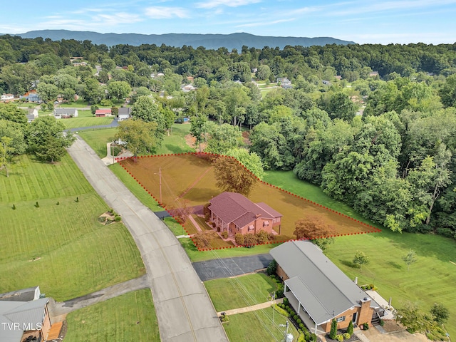 508 Meadowlark Dr, Greeneville, TN 37743 - photo 60