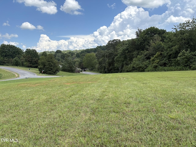 92AC Bedford Cir, Greeneville, TN 37743 - photo 1