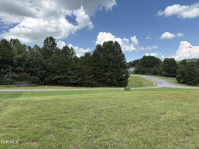 92AC Bedford Cir, Greeneville, TN 37743 - photo 2