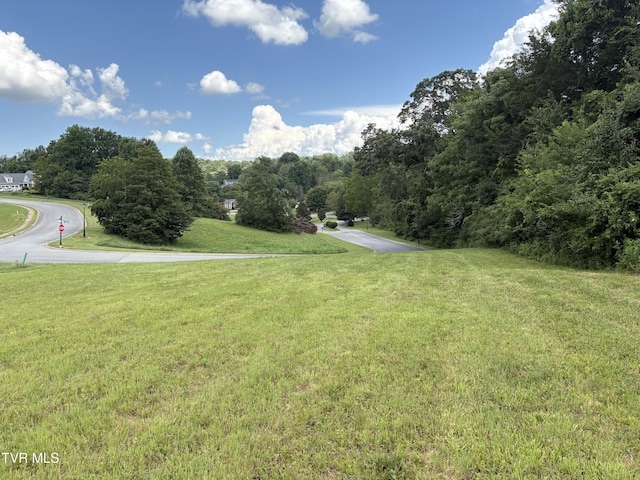 92AC Bedford Cir, Greeneville, TN 37743 - photo 3