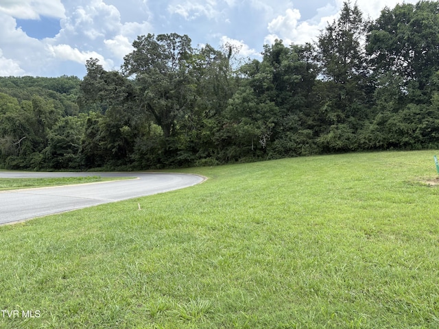 92AC Bedford Cir, Greeneville, TN 37743 - photo 6