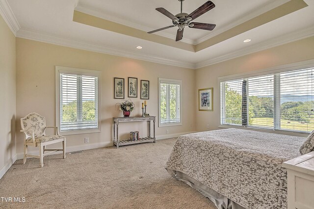 360 Jim Range Rd, Jonesborough, TN 37659 - photo 40