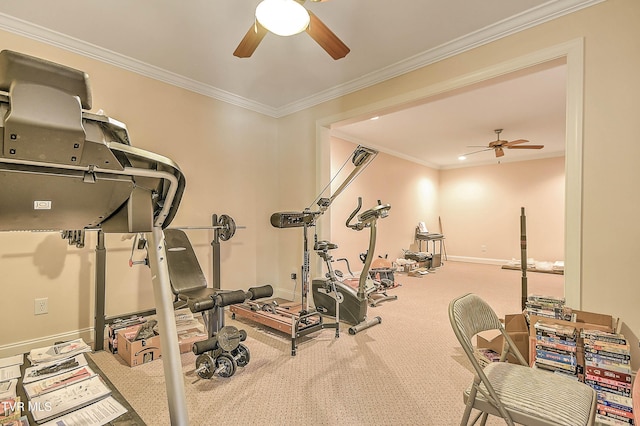 360 Jim Range Rd, Jonesborough, TN 37659 - photo 73