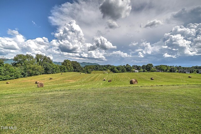 360 Jim Range Rd, Jonesborough, TN 37659 - photo 80