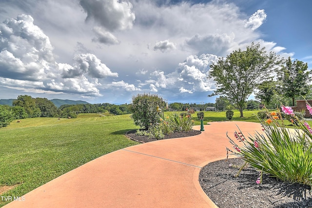 360 Jim Range Rd, Jonesborough, TN 37659 - photo 81