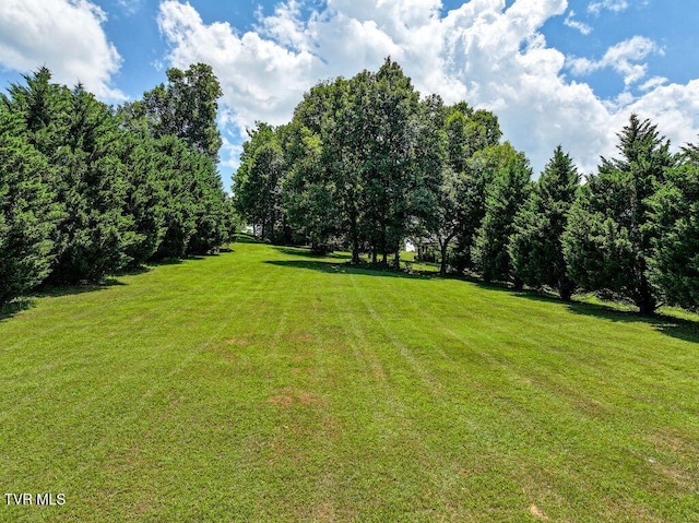 5659 Browning Way, Russellville, TN 37860 - photo 17