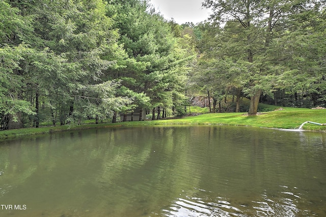 122 Chase Dr, Roan Mountain, TN 37687 - photo 40