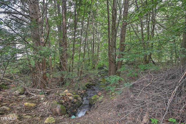 122 Chase Dr, Roan Mountain, TN 37687 - photo 42