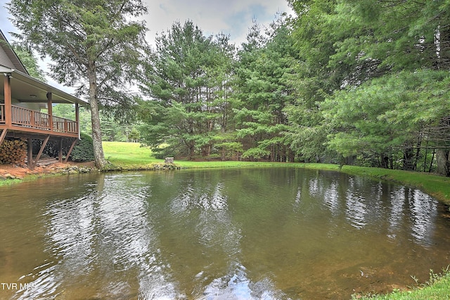 122 Chase Dr, Roan Mountain, TN 37687 - photo 45