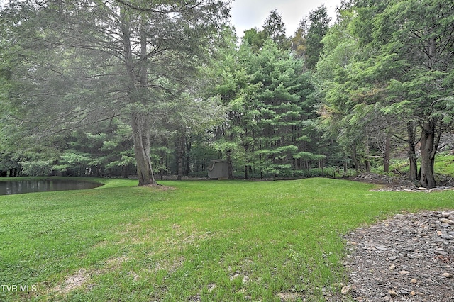122 Chase Dr, Roan Mountain, TN 37687 - photo 49