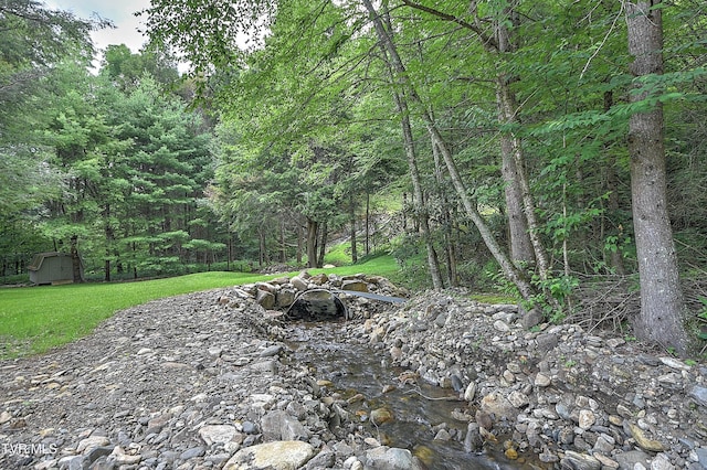 122 Chase Dr, Roan Mountain, TN 37687 - photo 50