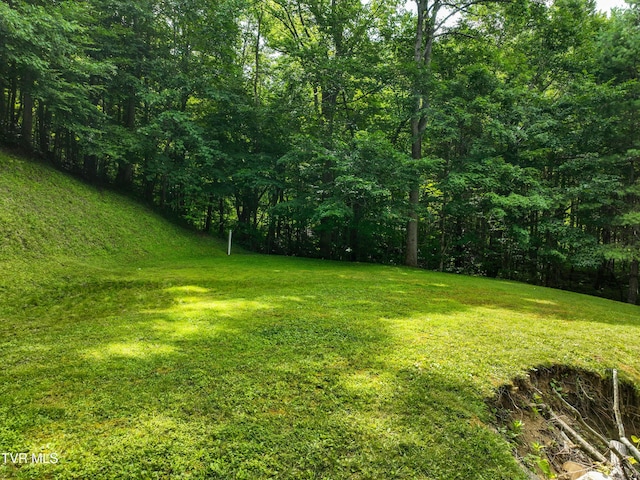 122 Chase Dr, Roan Mountain, TN 37687 - photo 54