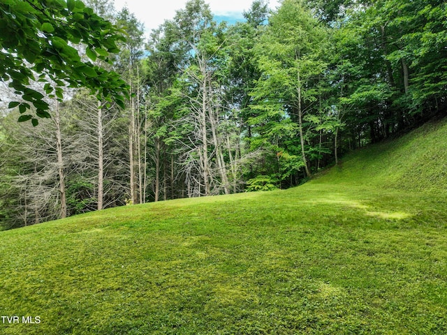 122 Chase Dr, Roan Mountain, TN 37687 - photo 55