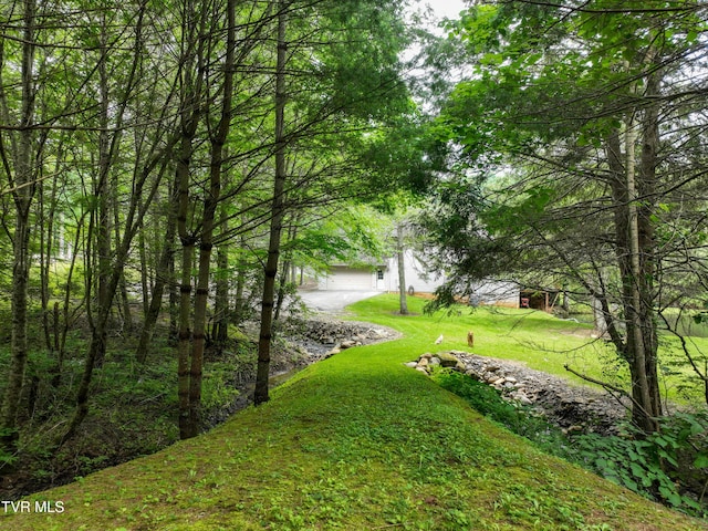 122 Chase Dr, Roan Mountain, TN 37687 - photo 56