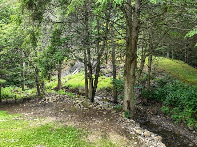 122 Chase Dr, Roan Mountain, TN 37687 - photo 58