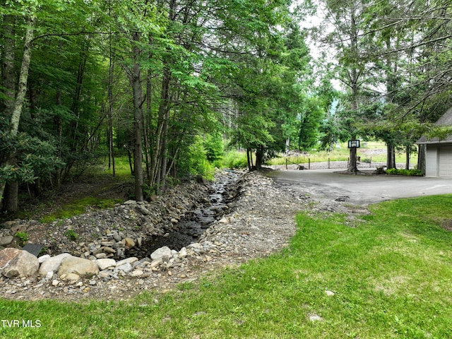 122 Chase Dr, Roan Mountain, TN 37687 - photo 59