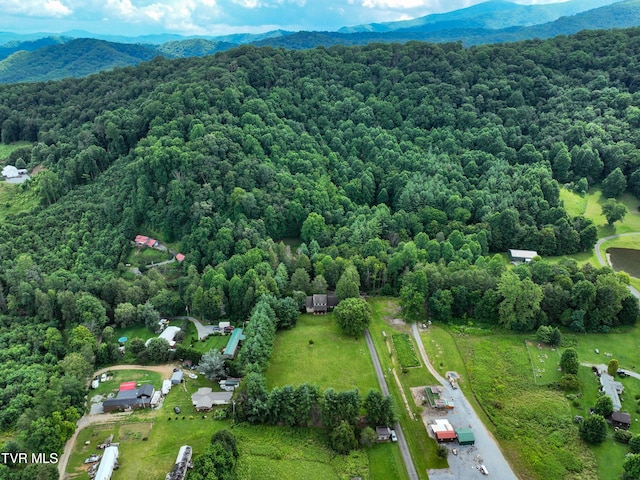 122 Chase Dr, Roan Mountain, TN 37687 - photo 60