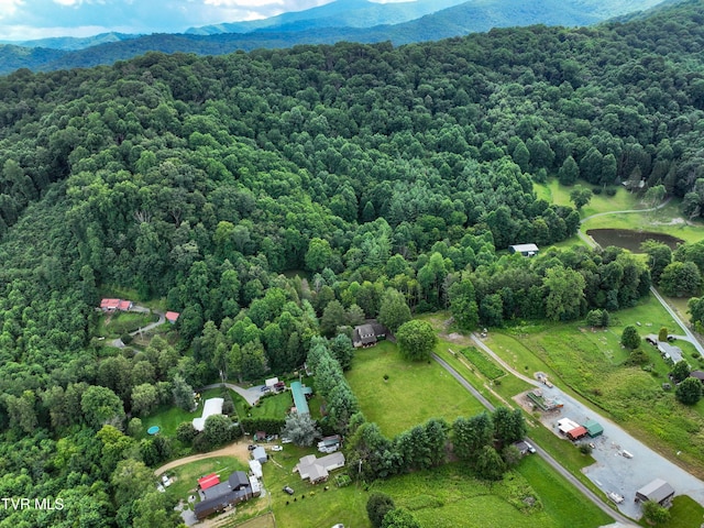 122 Chase Dr, Roan Mountain, TN 37687 - photo 61