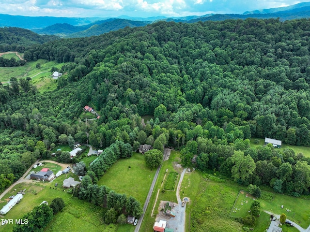 122 Chase Dr, Roan Mountain, TN 37687 - photo 62