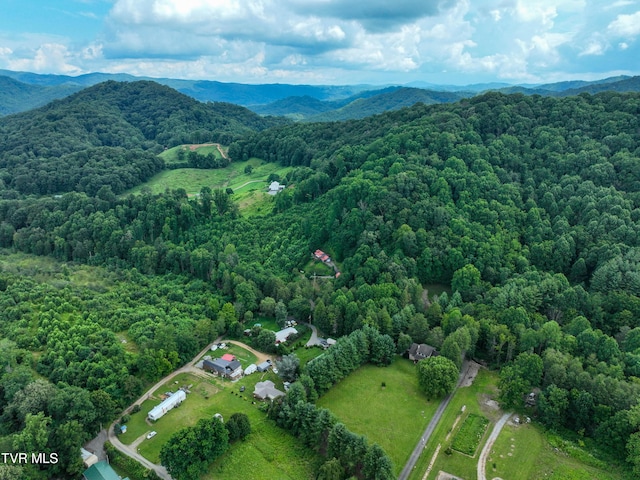 122 Chase Dr, Roan Mountain, TN 37687 - photo 63