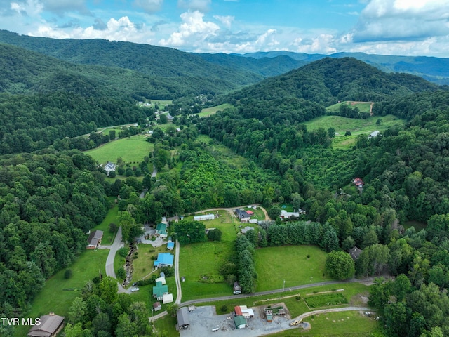 122 Chase Dr, Roan Mountain, TN 37687 - photo 64