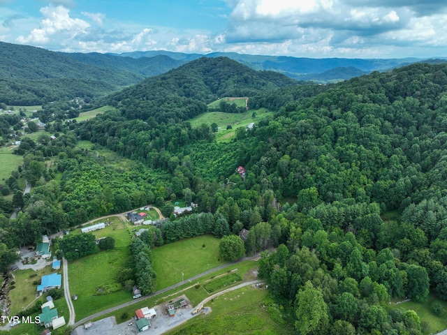 122 Chase Dr, Roan Mountain, TN 37687 - photo 65