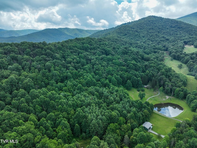122 Chase Dr, Roan Mountain, TN 37687 - photo 68