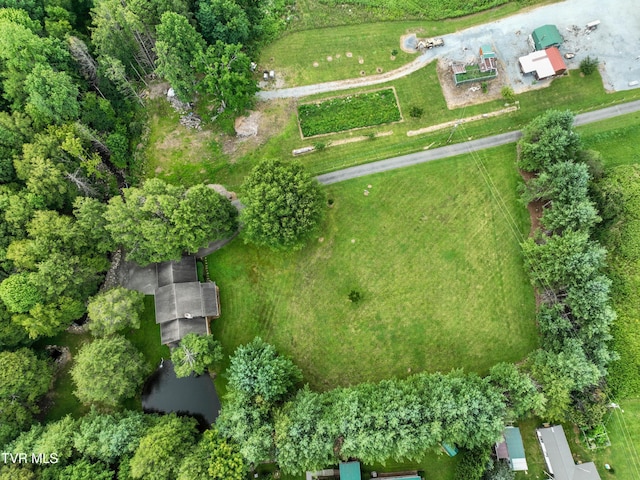 122 Chase Dr, Roan Mountain, TN 37687 - photo 69