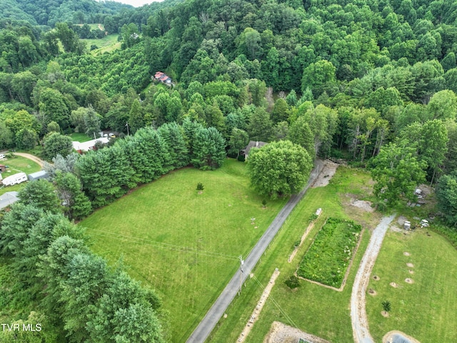 122 Chase Dr, Roan Mountain, TN 37687 - photo 70
