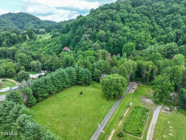 122 Chase Dr, Roan Mountain, TN 37687 - photo 71