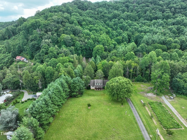 122 Chase Dr, Roan Mountain, TN 37687 - photo 72