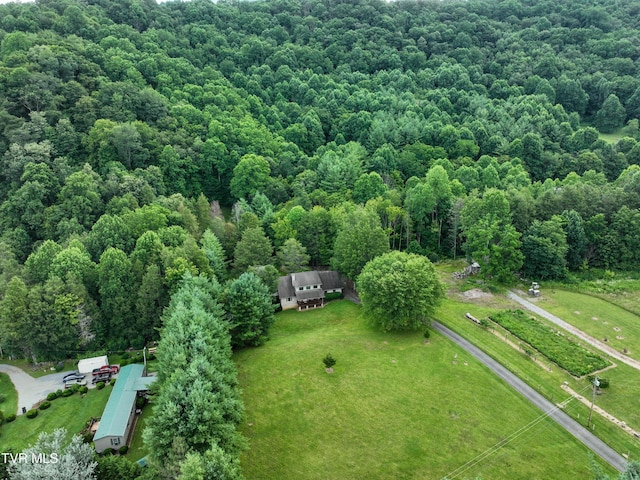 122 Chase Dr, Roan Mountain, TN 37687 - photo 73