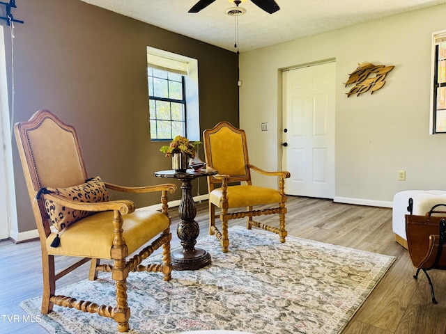 1006 Phillip Drew Dr, Johnson City, TN 37604 - photo 31