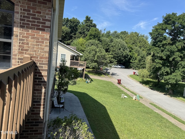 1006 Phillip Drew Dr, Johnson City, TN 37604 - photo 44