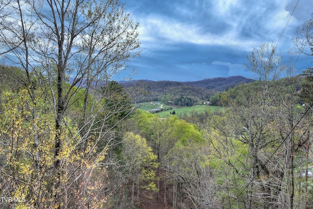 104 Leedham Rd, Johnson City, TN 37601 - photo 8