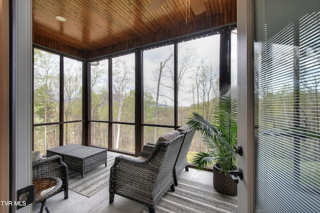 104 Leedham Rd, Johnson City, TN 37601 - photo 37