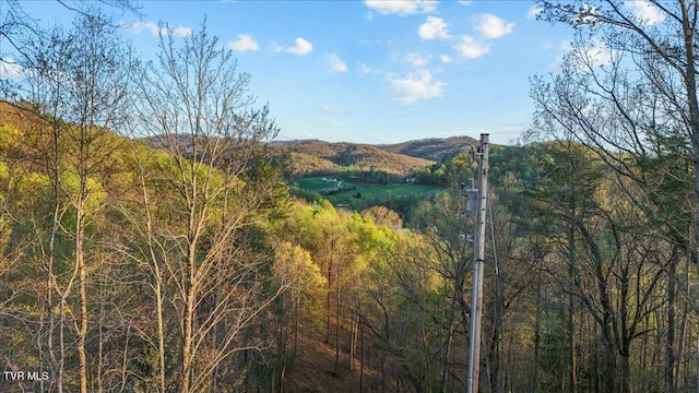 104 Leedham Rd, Johnson City, TN 37601 - photo 45