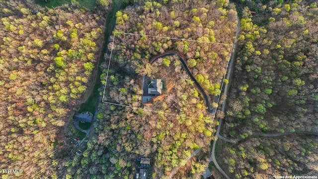 104 Leedham Rd, Johnson City, TN 37601 - photo 47