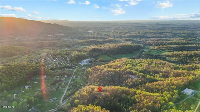 104 Leedham Rd, Johnson City, TN 37601 - photo 48
