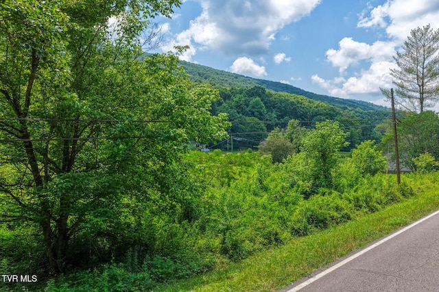 TBD2 Beech Creek Rd, Rogersville, TN 37857 - photo 1