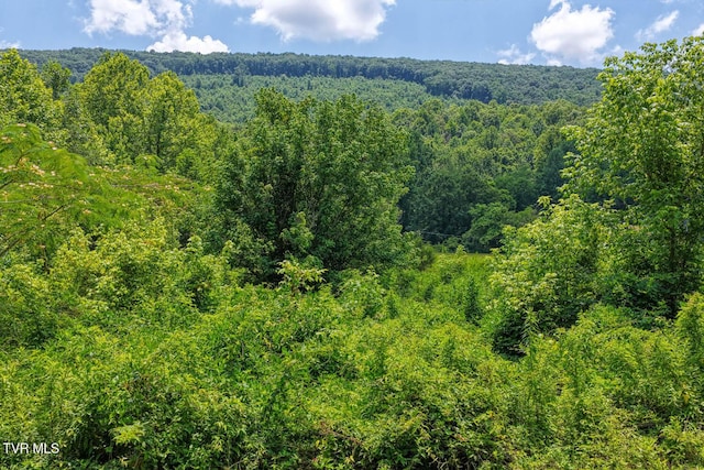 TBD2 Beech Creek Rd, Rogersville, TN 37857 - photo 2