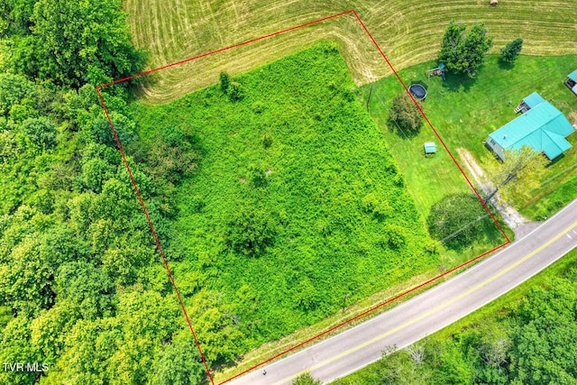 TBD2 Beech Creek Rd, Rogersville, TN 37857 - photo 3