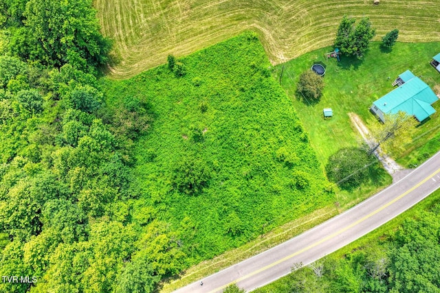 TBD2 Beech Creek Rd, Rogersville, TN 37857 - photo 4