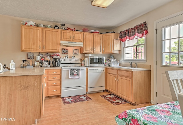 527 Beaverview Dr, Bristol, VA 24201 - photo 20