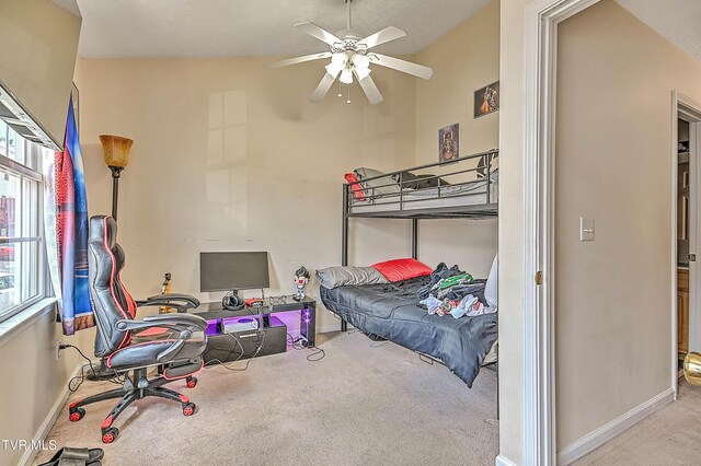 527 Beaverview Dr, Bristol, VA 24201 - photo 28