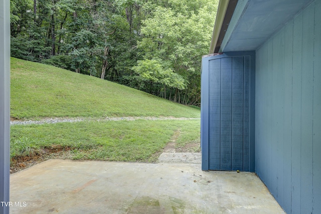 119 Cleveland Rd, Gray, TN 37615 - photo 32