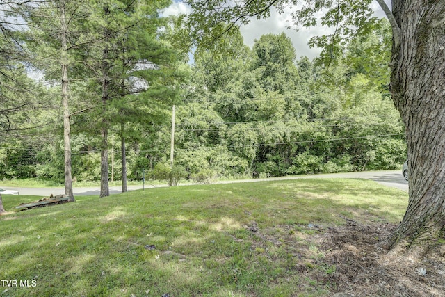 119 Cleveland Rd, Gray, TN 37615 - photo 38