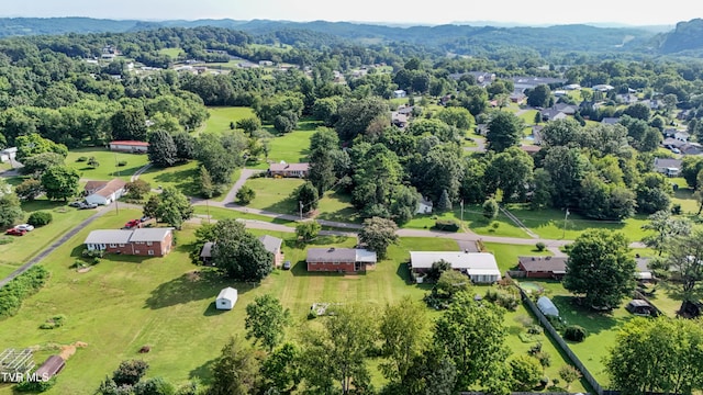 144 Rolling Acres Dr, Johnson City, TN 37615 - photo 37